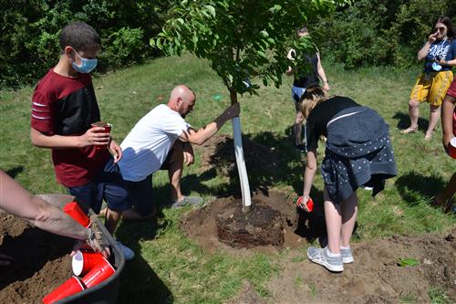 students pour dirt around a new tree as a teacher holds it upright